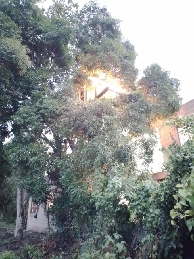 La Casita Del Arbol Guaduas Cundi. Hotell Eksteriør bilde