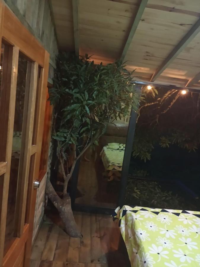 La Casita Del Arbol Guaduas Cundi. Hotell Eksteriør bilde
