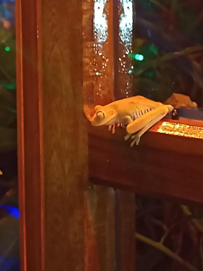 La Casita Del Arbol Guaduas Cundi. Hotell Eksteriør bilde